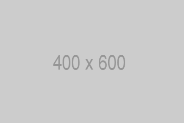 400x600